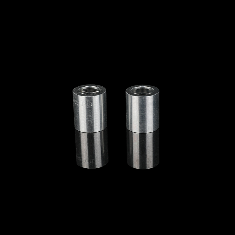 Tuyau hydraulique pour procédé de forgeage à chaud Ferrule 00210-10